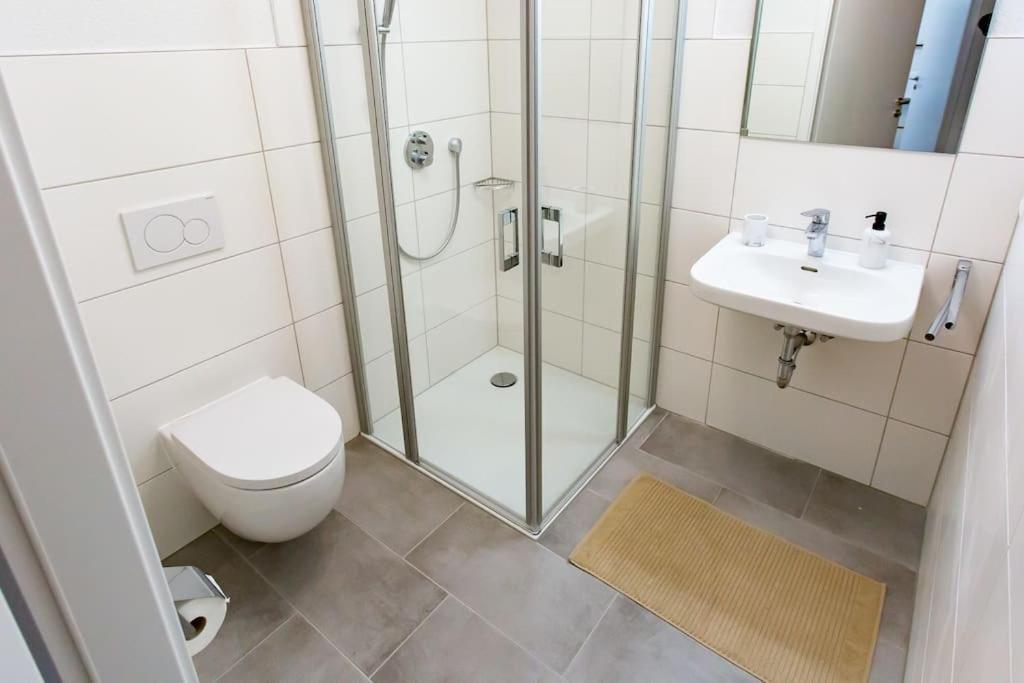 Grosse Cozy 4-zi-whg Mit Balkon Naehe Europa Park Und Rulantica Apartment