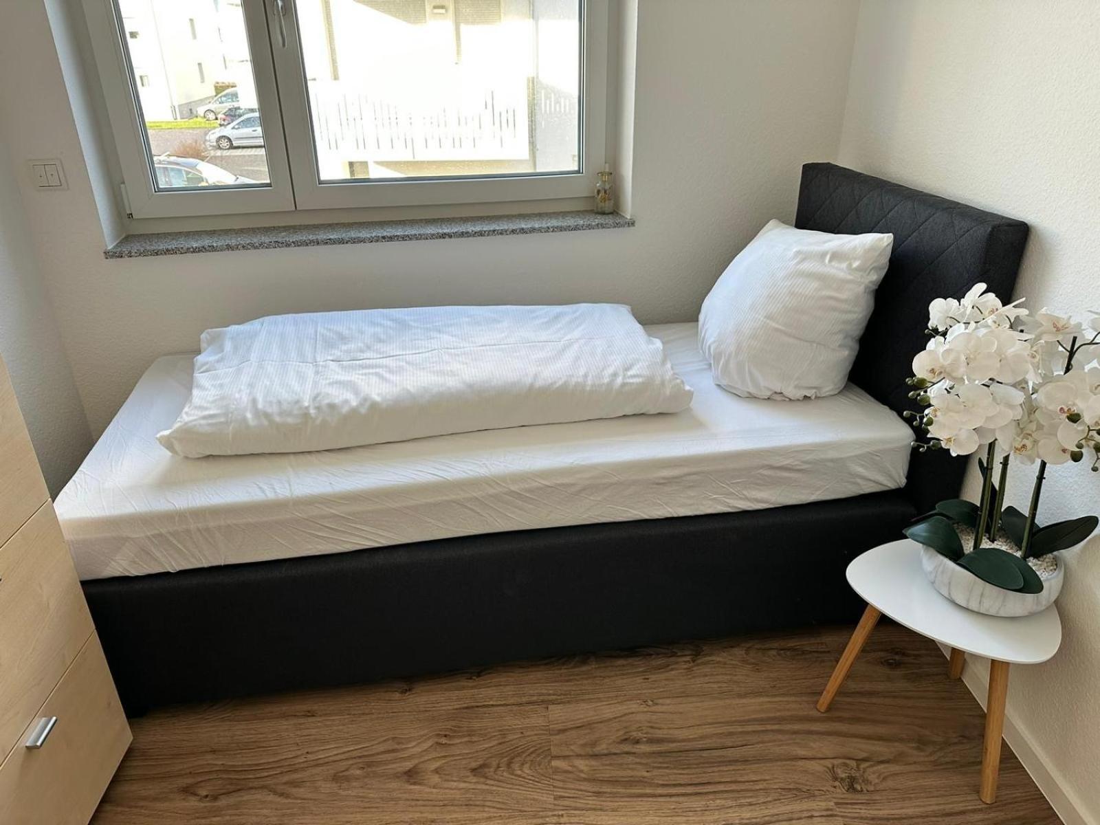 Grosse Cozy 4-zi-whg Mit Balkon Naehe Europa Park Und Rulantica * Lahr (Baden-Wurttemberg)